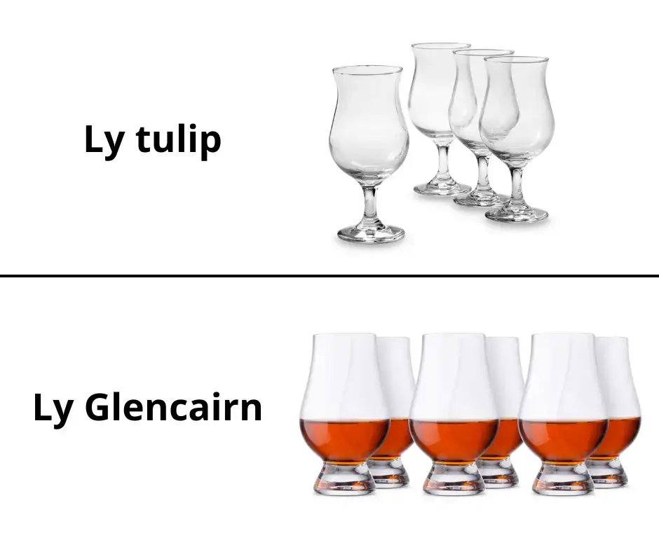 Hình ảnh của ly Tylip và ly Glencairn