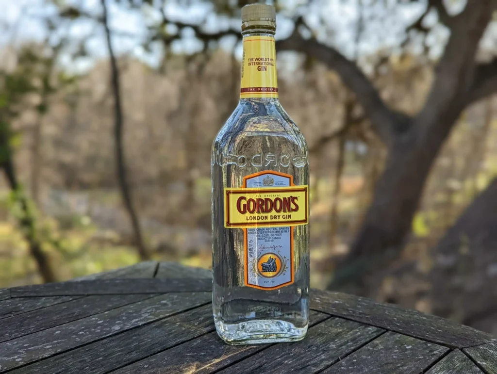 Chai rượu Gin Gordons London Dry đặt trên khúc gỗ trong rừng cây